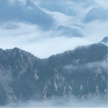 手机号轰在线轰炸免费下载